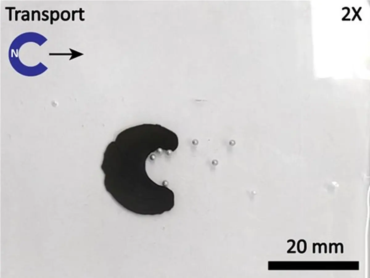 外部から磁力で操る 磁気スライムロボット 香港中文大学の研究者らが開発 Dream Seed